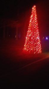 Red Christmas tree light